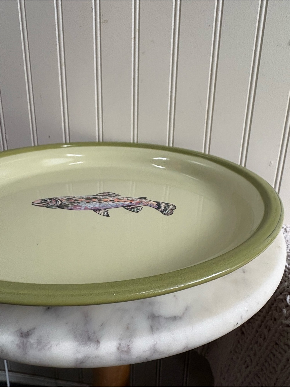Marble Canyon Enamelware Large Trout Plate/Serving Platter Green 12.5” Diameter - Picture 8 of 11